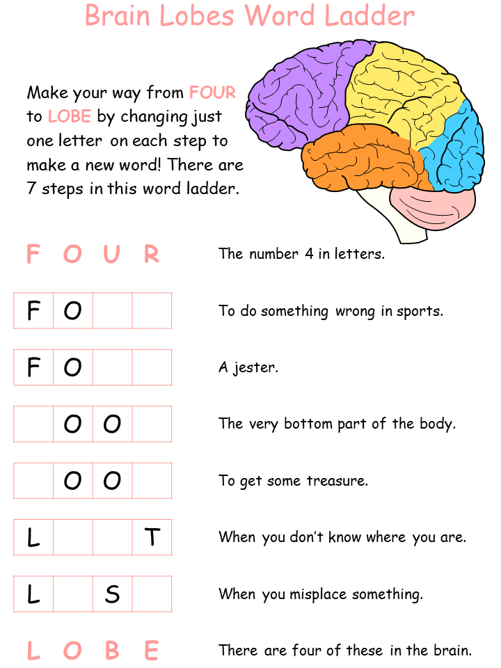 Printable Brain Worksheet