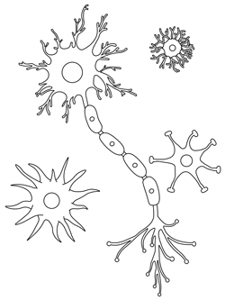 brain cells coloring page
