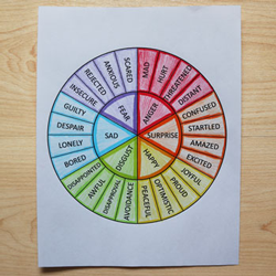 emotion wheel activity