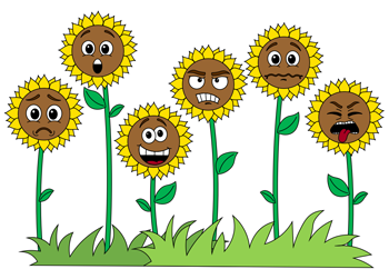 emotion sunflower drawing